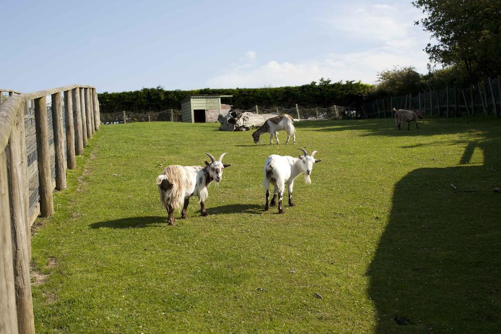 Wooda Farm Holidays Bude Exterior foto
